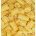Top quality canned baby corn in brine